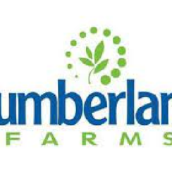 Cumberland Farms Headquarters & Corporate Office